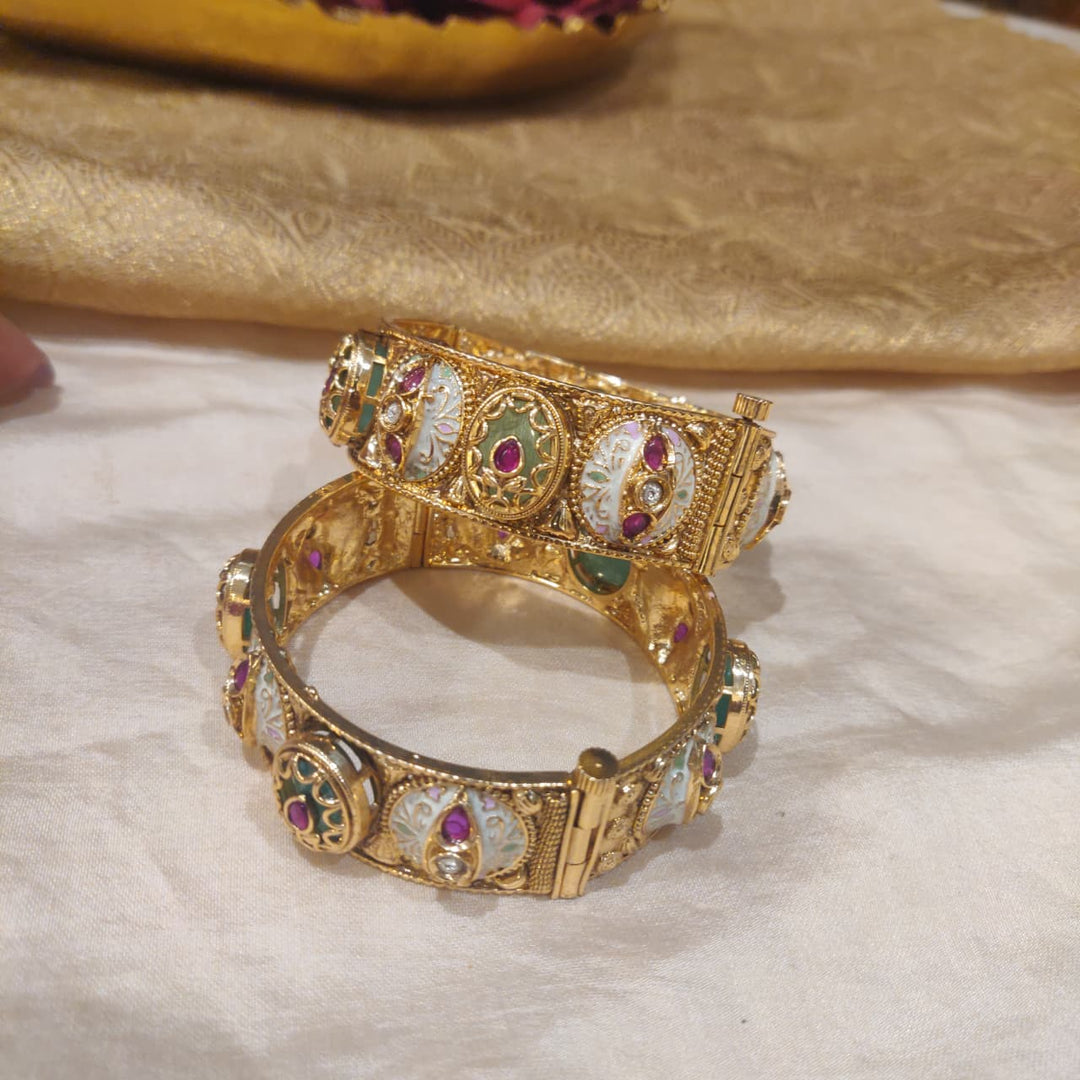 Rare Meenakari Kada set of 2